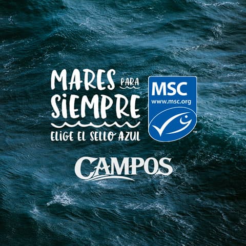 Imagen noticia Campos participa en la Semana Mares para Siempre