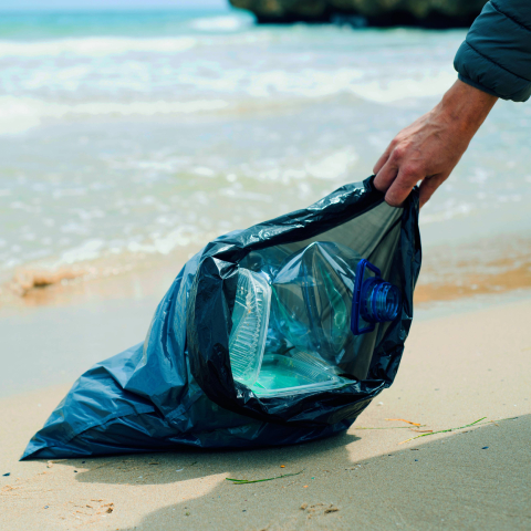 Imagen noticia ¿Cómo podemos conseguir un ecosistema marino sostenible?