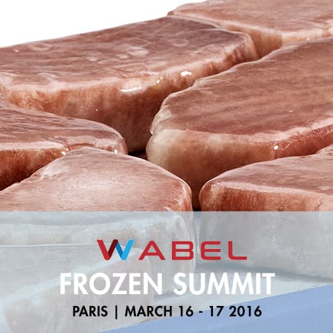 Imagen noticia Campos en Wabel Frozen Summit 2016