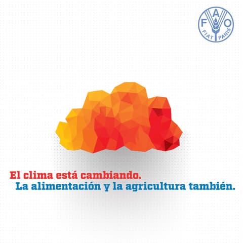 Imagen noticia 16 de octubre, Día Mundial de la Alimentación