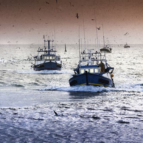 Imagen noticia Miles de supermercados ofrecen ya Atún de Pesca Responsable Campos