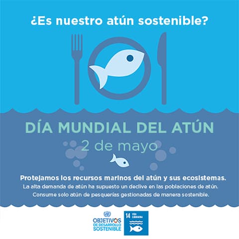 Imagen noticia ¡Feliz Día Mundial del Atún!