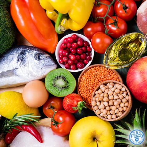 Imagen noticia Día Mundial de la Alimentación 2019